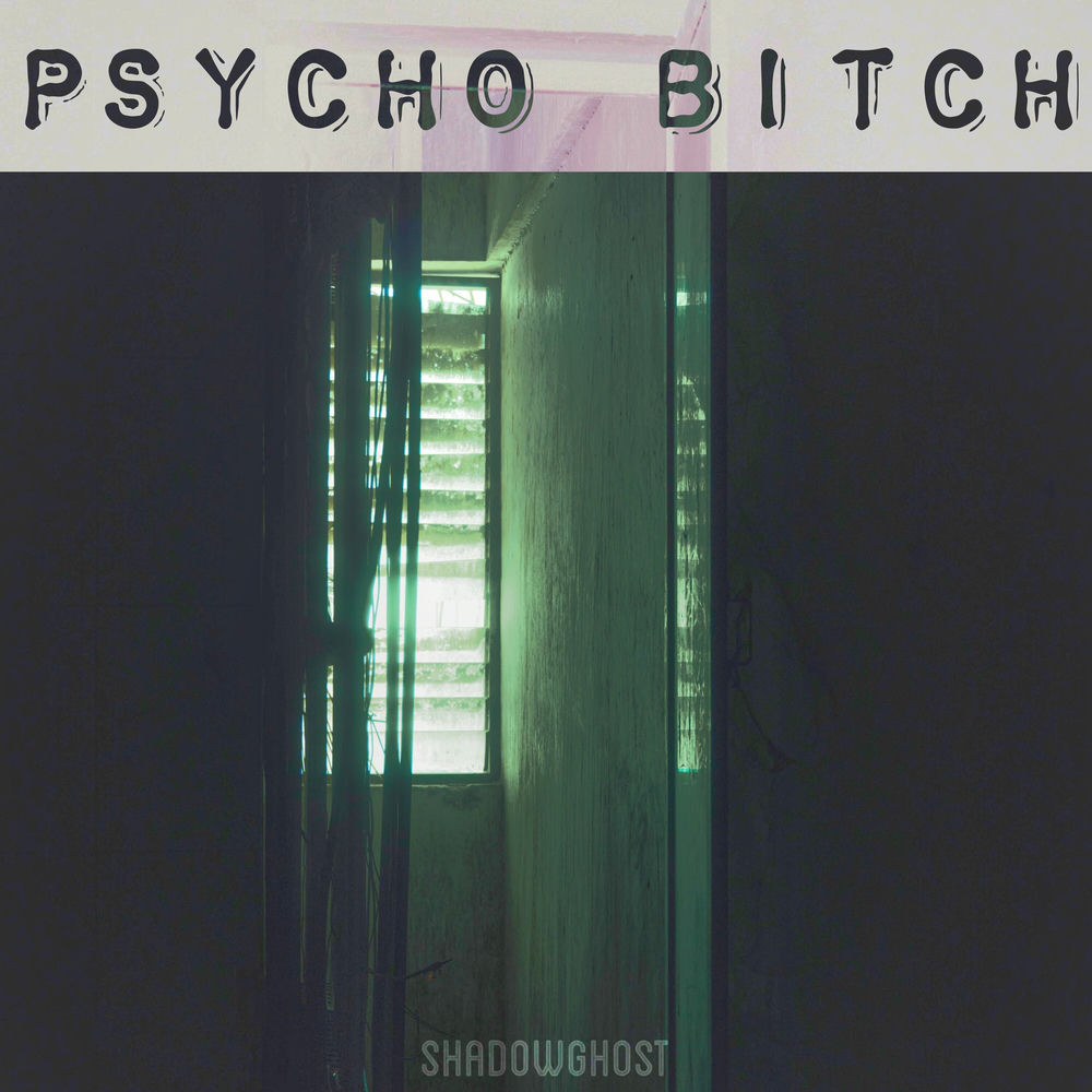 Psycho Bitch