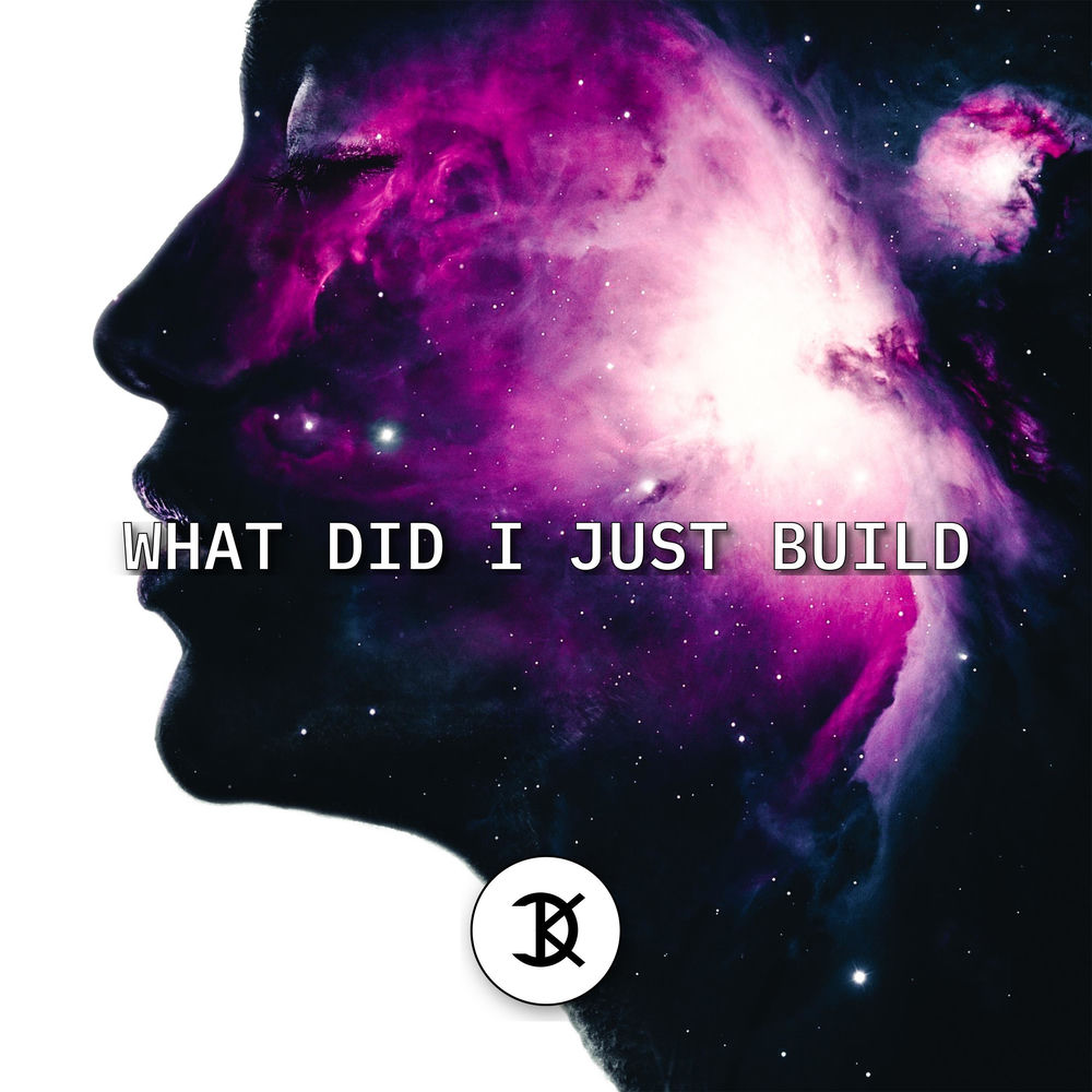 What Did I Just Build