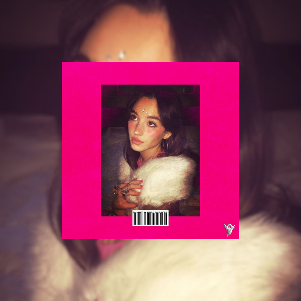 What A Girl Wants (Remix)